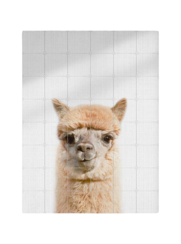 Cuadro Decorativo IXXI Alpaca