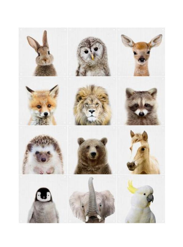 Cuadro Decorativo IXXI Animal Family - Lila y Lola