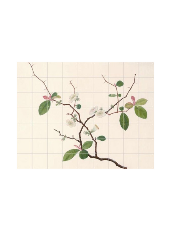 Cuadro Decorativo IXXI Blossom - John Reeves