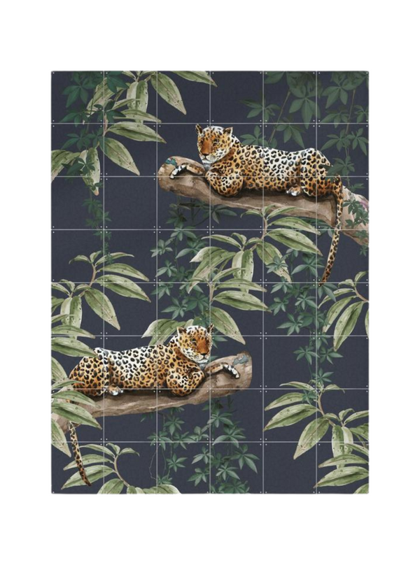 Cuadro Decorativo IXXI Pequeño Chilling in the jungle & Into the wild