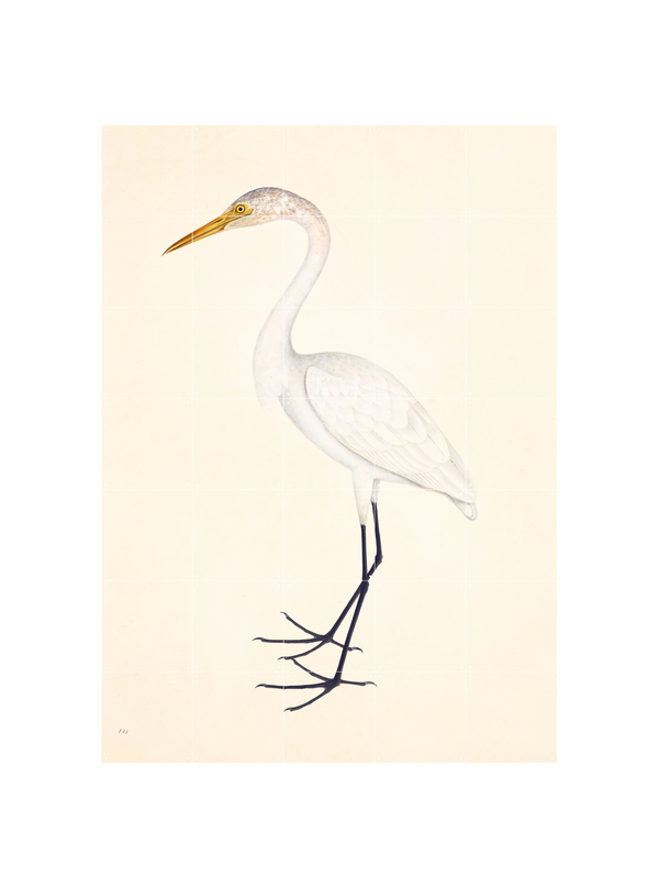 Cuadro Decorativo IXXI Great Egret