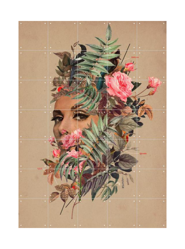 Cuadro decorativo IXXI - Halcyon Days