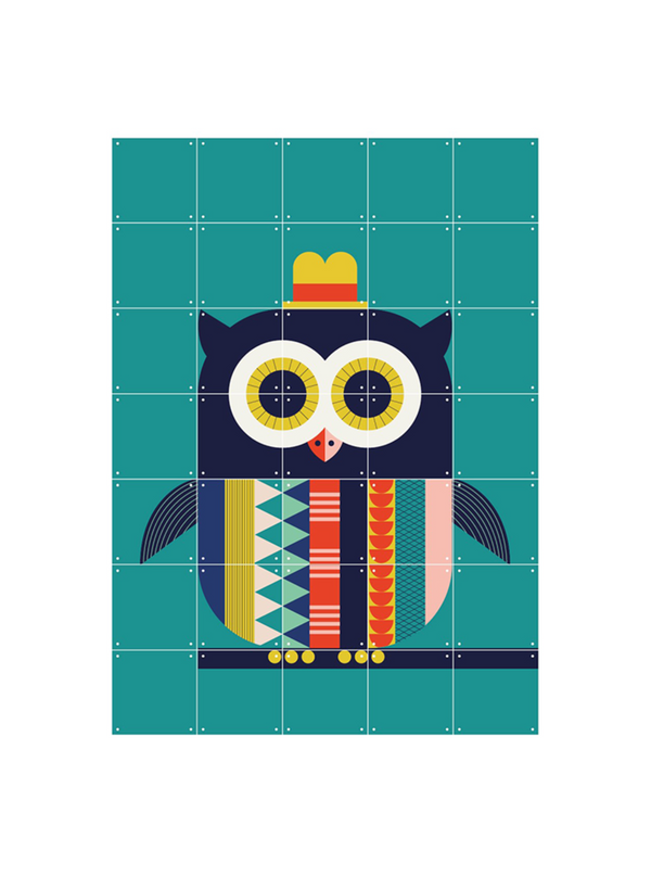 Cuadro decorativo IXXI - Búho = Owl