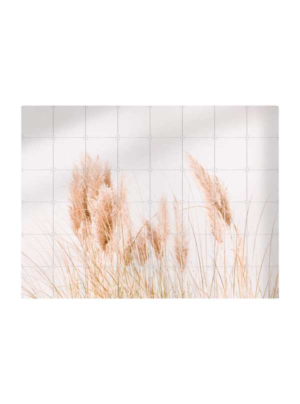 Cuadro decorativo IXXI - Pampas Grass - Ingrid Beddoes