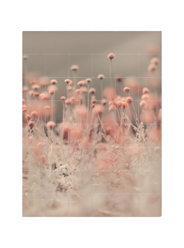 Cuadro decorativo IXXI - Pink Wild Flowers - Ingrid Beddoes