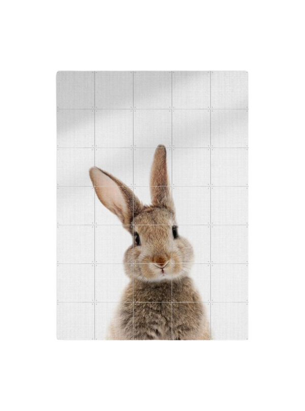 Cuadro Decorativo IXXI  Rabbit - Lila y Lola