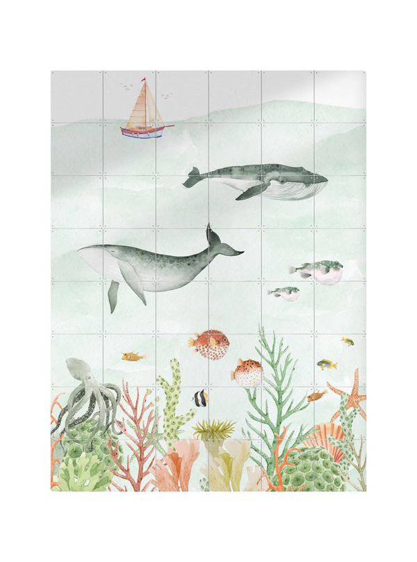 Cuadro decorativo IXXI - Sealife - Creative Lab Amsterdam