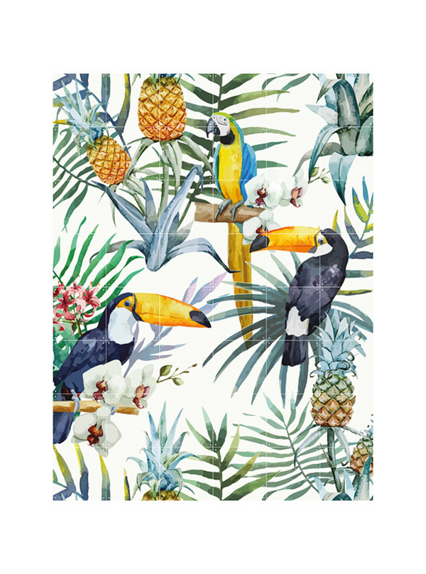 Cuadro decorativo IXXI - Toucan Family - Creative Lab Amsterdam