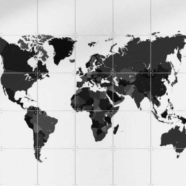 Cuadro Decorativo IXXI Pequeño The World Black & White