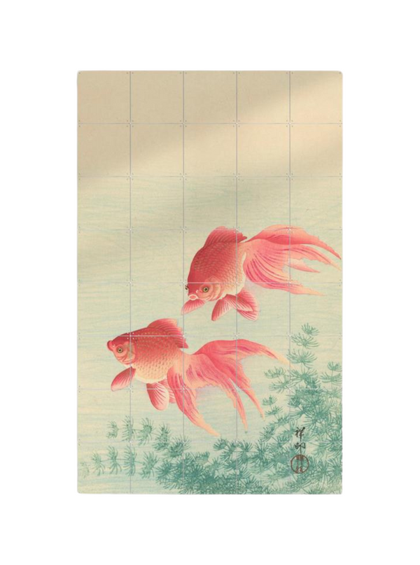 Cuadro Decorativo IXXI Pequeño Two Goldfish