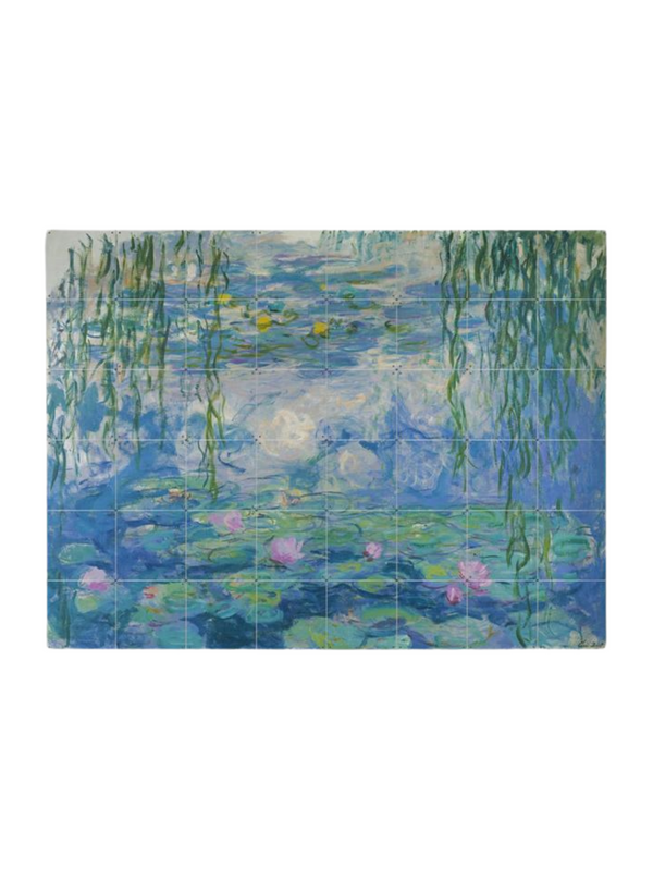 Cuadro Decorativo IXXI Waterlilies